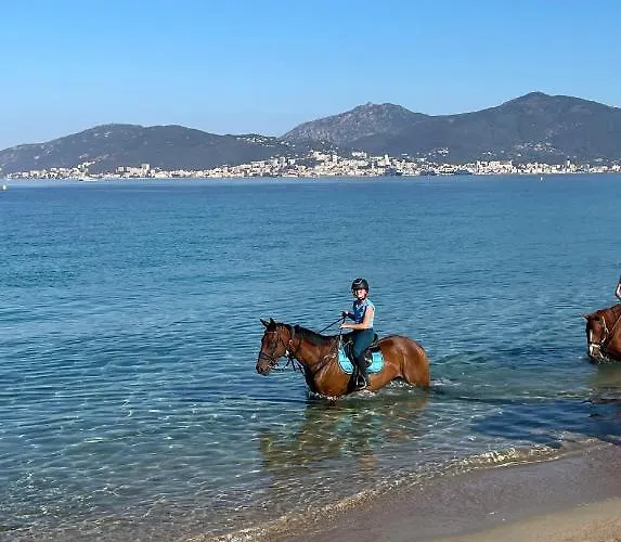 La Ste * Porticcio (Corsica)