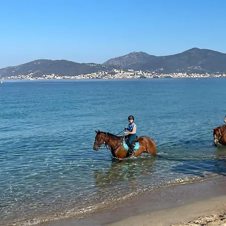 La Ste * Porticcio (Corsica)